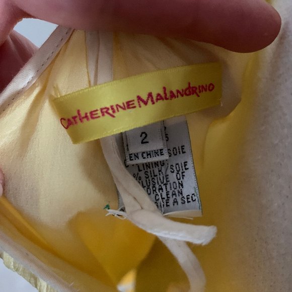 Embroidered, Yellow Silver Silk Dress - Picture 7 of 7